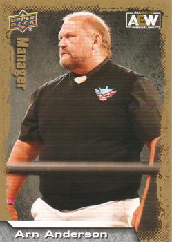 Arn Anderson