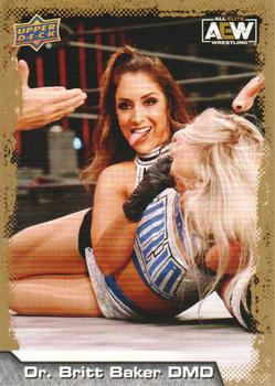 Dr. Britt Baker