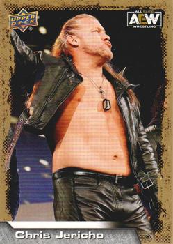 Chris Jericho