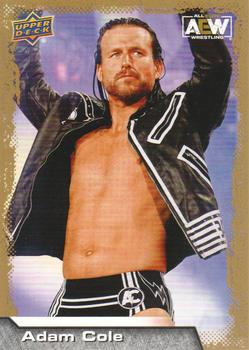 Adam Cole