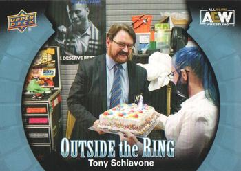 Tony Schiavone