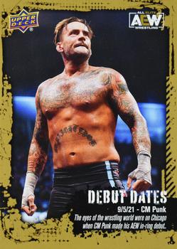 CM Punk