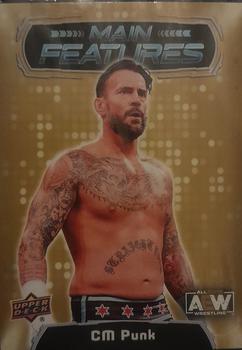 CM Punk