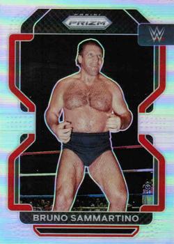 Bruno Sammartino