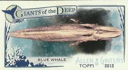 Blue Whale