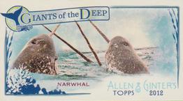 Narwhal