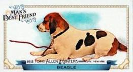 Beagle