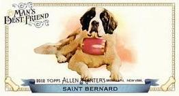 Saint Bernard