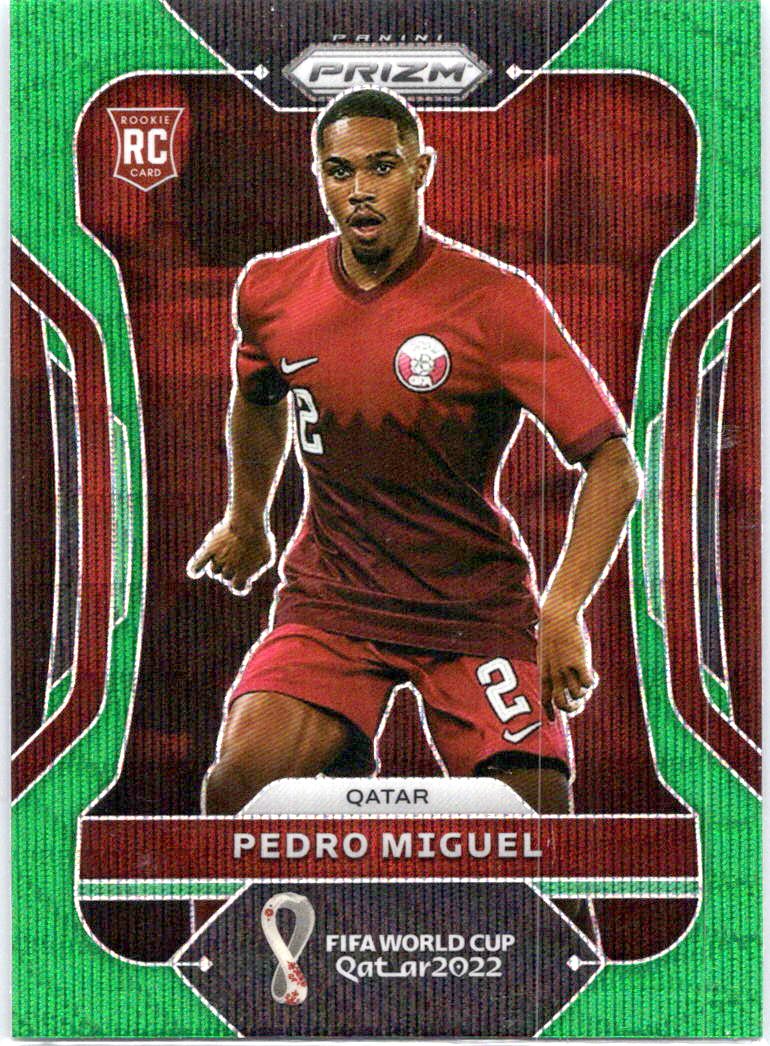 Pedro Miguel