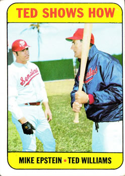 Ted Shows How (Mike Epstein / Ted Williams)