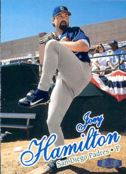 Joey Hamilton