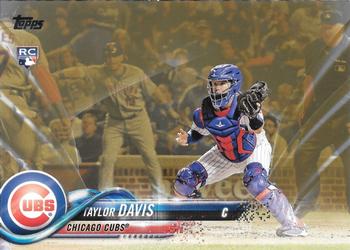 Taylor Davis