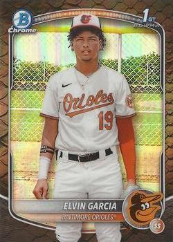 Elvin Garcia