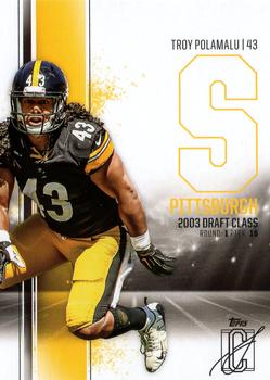 Troy Polamalu