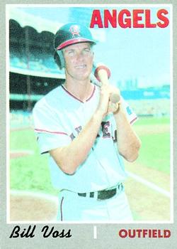 Bill Voss