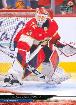 Sergei Bobrovsky