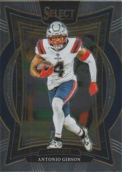 Antonio Gibson
