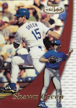 Shawn Green