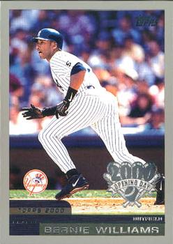 Bernie Williams