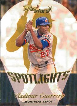 Vladimir Guerrero