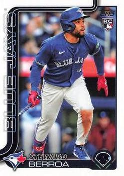 Steward Berroa