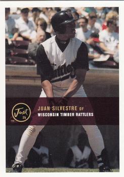 Juan Silvestre