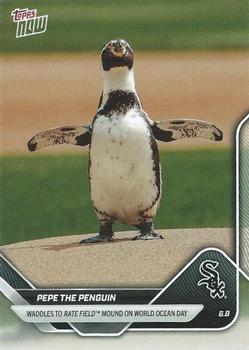 Pepe the Penguin