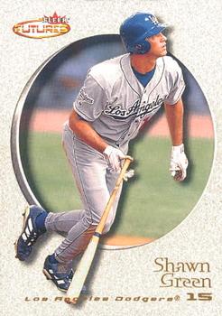 Shawn Green