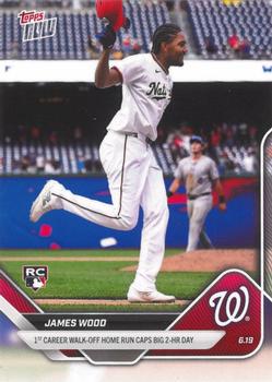 James Wood
