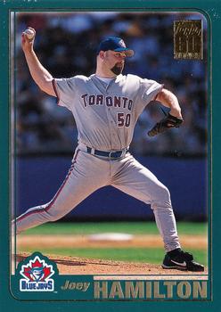 Joey Hamilton