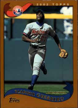 Vladimir Guerrero