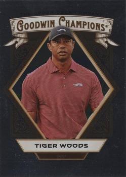Tiger Woods
