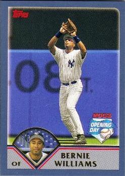 Bernie Williams