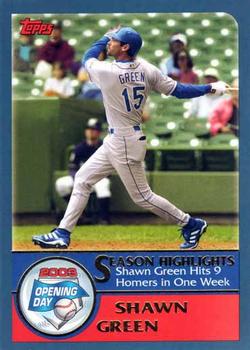 #161 Shawn Green