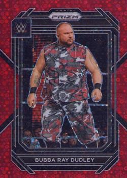 Bubba Ray Dudley