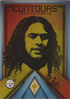 Troy Polamalu