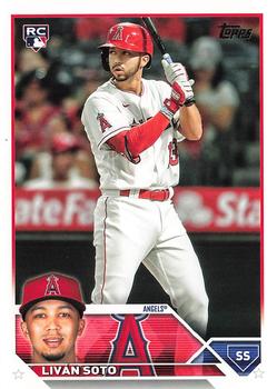 Livan Soto