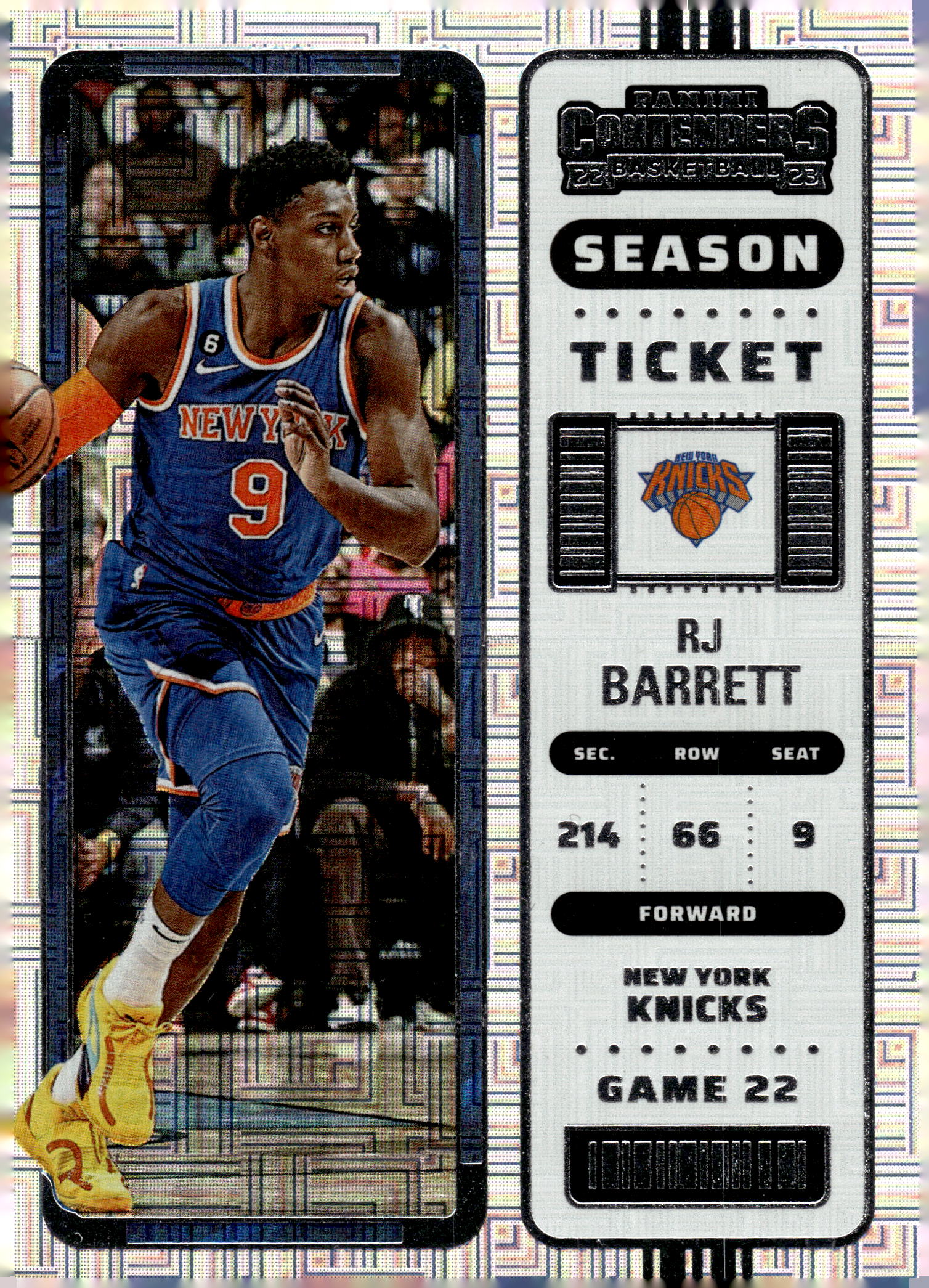 RJ Barrett
