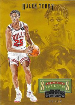 Dalen Terry