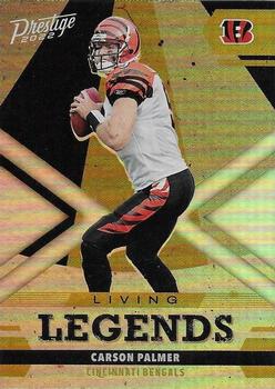 Carson Palmer