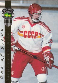 Andrei Nikolishin