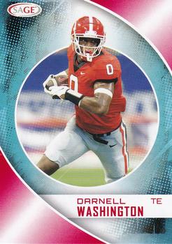 Darnell Washington