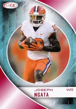 Joseph Ngata