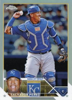 Salvador Perez