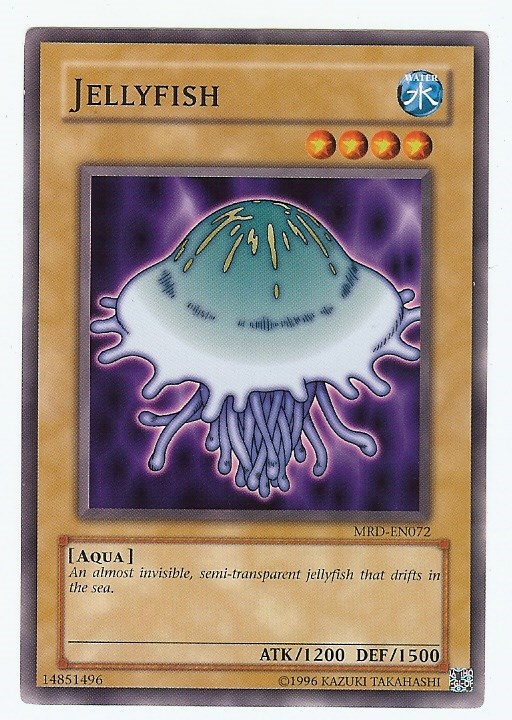 Jellyfish