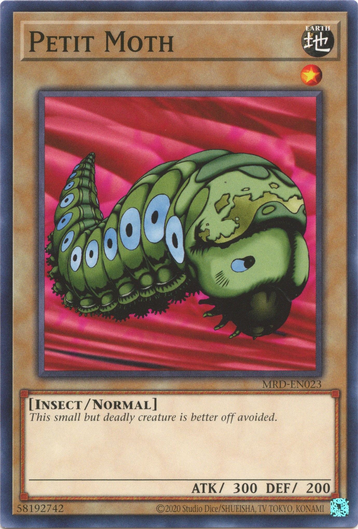 Petit Moth