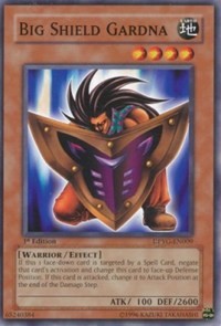 Big Shield Gardna