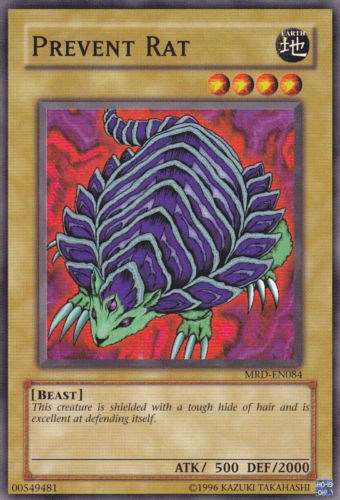 Prevent Rat