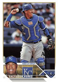 Salvador Perez