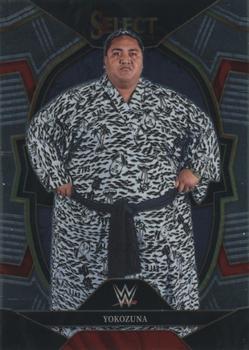 Yokozuna